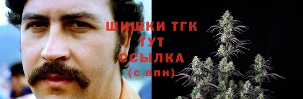 крисы Армянск