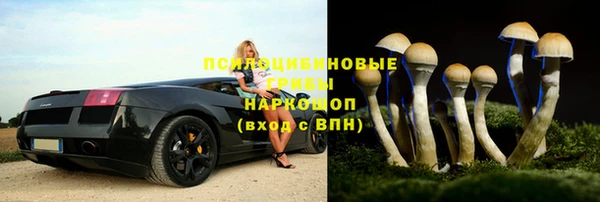 крисы Армянск