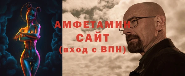 шишки Арсеньев