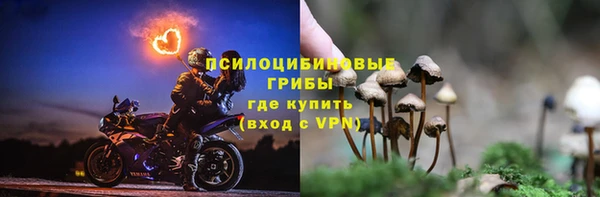 крисы Армянск