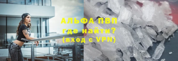шишки Арсеньев
