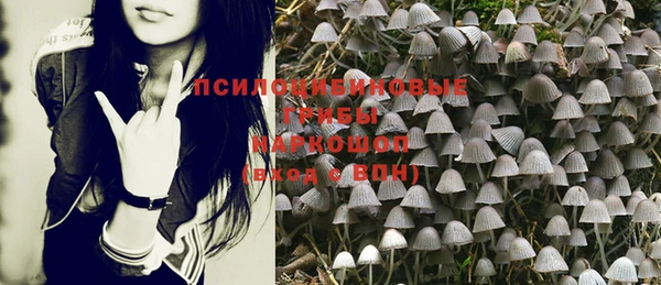 крисы Армянск