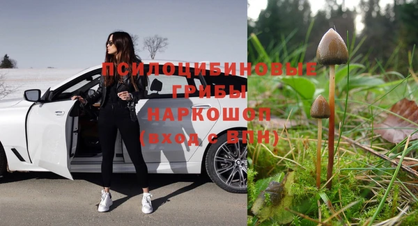 крисы Армянск
