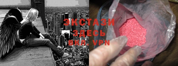 шишки Арсеньев
