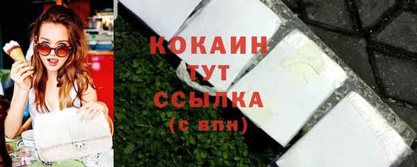 шишки Арсеньев