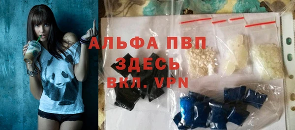 шишки Арсеньев