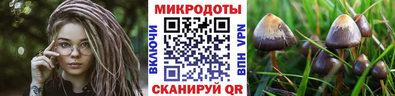блэк спрут зеркало  купить  цена  Менделеевск  Галлюциногенные грибы Cubensis 